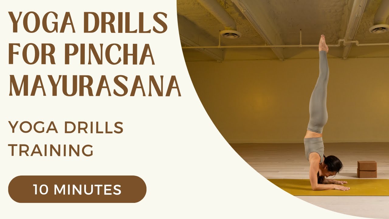 Yoga Drills Training - Yoga Drills for Pincha Mayurasana
