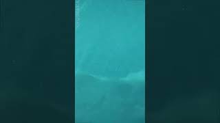 Ujung Bocur On Fire Before The Krui Pro