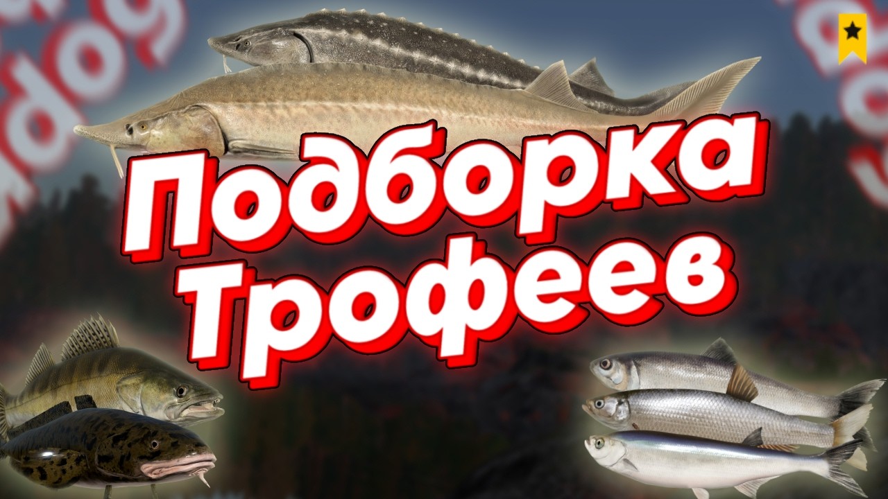 Подборка трофеев Русская Рыбалка 4 | Январь | Trophy Compilation Russian Fishing 4
