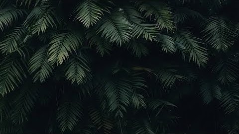 تلاوة هادئة تريح الأعصاب 😴🎧 القارئ : هاني العزوني _ سورة : الغاشية 💙❤️