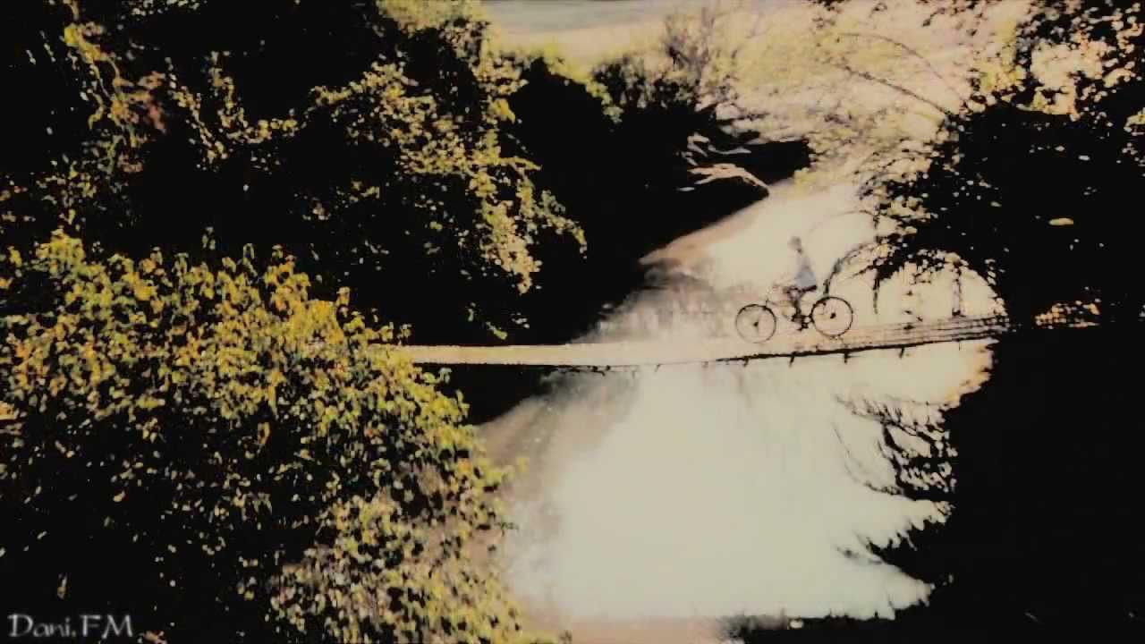 The dog days are over