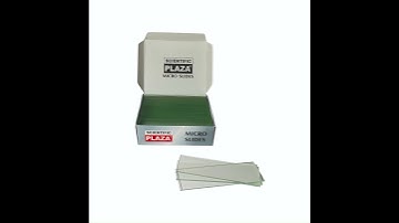 PLAZA SPECIAL MICROSCOPE GLASS SLIDES #microscope #microscopeslides