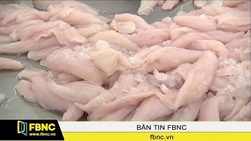 FBNC - Phát hiện 134 lô cá tra có chất kháng sinh cấm