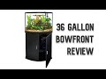 Best 36 Gallon Bowfront Aquarium Set: A Comprehensive Review