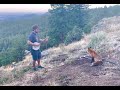 Playing banjo for a wild fox! He came back for an encore!