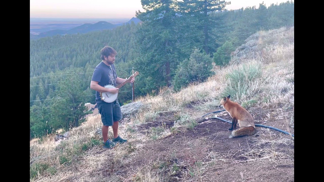 Playing banjo for a wild fox He came back for an encore Titled Aesop Mountain and streaming now