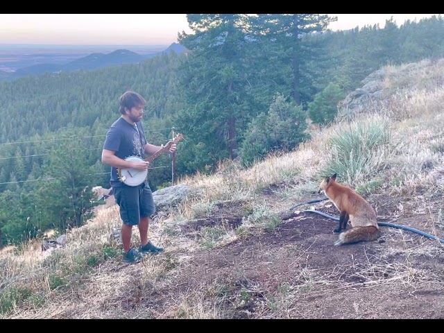 Playing banjo for a wild fox! He came back for an encore! Titled Aesop Mountain and streaming now! class=