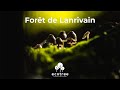 Ref:Nr_JSX5D-oU La for�t de lanrivain, un �crin de verdure