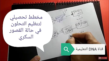 مخطط تنظيم التحلون في حالة القصور السكري التنظيم الهرموني السنة الثانية ثانوي مخطط تنظيم التحلون في حالة القصور السكري التنظيم الهرموني السنة الثانية ثانوي