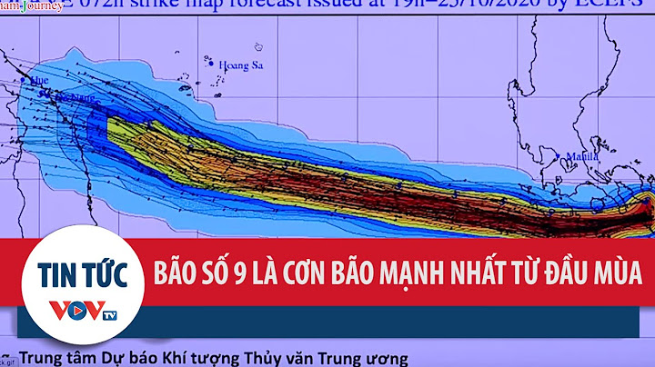 Bão số 9 2023 usagi nghĩa là gì năm 2024