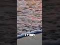 Prayer for Favour#Prayers #affirmations #bible verses#faith