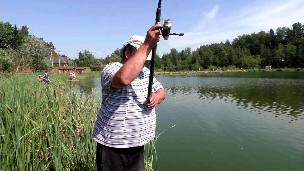 Юрлово платная рыбалка. Погода в юрлове. Погода в юрлове. Юрлово 21. Усадьба юрлово рыбалка.