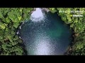勉強して行きたくなった世界遺産第2位『屋久島』