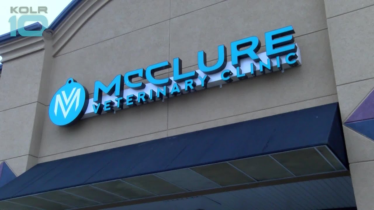 VIDEO: Proper Pet Pig Care