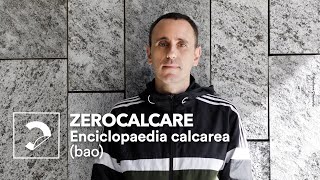 Zerocalcare | Enciclopedia calcarea (bao)