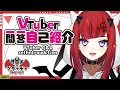 【Q&A SelfIntroduction】 Vtuber一問一答自己紹介 【サロメ・ブラッディ】