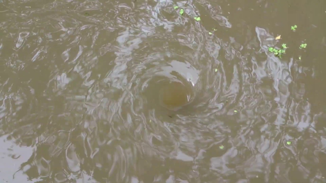 Водовороты в озерах. Водоворот Корриврекан. Сальстрауменский водоворот. Сальтстремен водоворот. Озеро Пеннер водоворот.