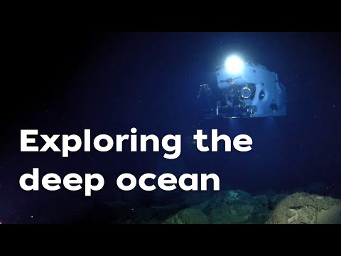 Vídeo: On és l'institut oceanogràfic de Woods Hole?