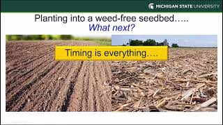Field Crops Virtual Breakfast: Early Season Weed Control