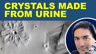 🔬How to grow Urea Crystals for microscopy