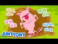 Animal Sounds in Different Languages | Oink, oink! 꿀꿀! 哼哼! ¡Oinc, oinc! | Kids Songs | JunyTony