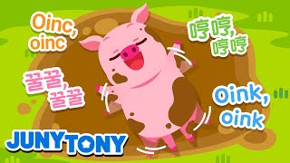 Animal Sounds in Different Languages | Woof, woof! 멍멍! 汪汪! ¡Guau, guau! | Kids Songs | JunyTony