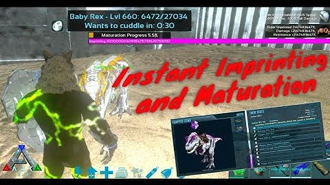 Imprinting and Fast grow up Dino