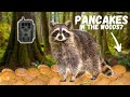 Leaving Pancakes In The WOODS!!! (What Happens!?)