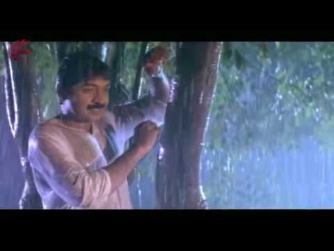 Jallu Ammo Jallu Video Song || Papakosam  Movie  || Rajasekhar, Shobana, Shamili ||MovieTimeCinema