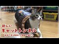 【おすすめキャットトンネル】新しいWood調の猫用トンネルを買ってみたら、意外な反応をしたうちの猫さま