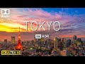 TOKYO VIDEO 8K HDR 60fps DOLBY VISION WITH SOFT PIANO MUSIC