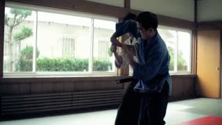 Jujitsu & Aikido 2.0