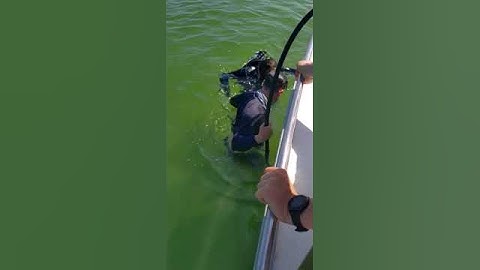 BLOG | Tracking two harmful algal blooms through time