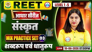 REET Level 1 Sanskrit Class | Sanskrit: शब्दरूप एवं धातुरूप | REET Sanskrit Practice Set 3
