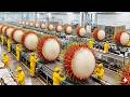 How Rambutan Is Processed in a Modern Factory You've Never Seen Before (Full Process)