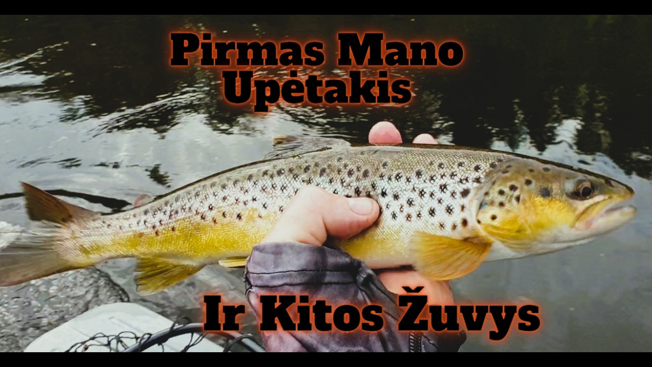 Pirmas Mano Upėtakis ir Kitos Žuvys#35