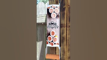 Ping Pong Custom Designed Beer Can Crusher-Tiki Bar-Man Cave -Garage - Basement Bars