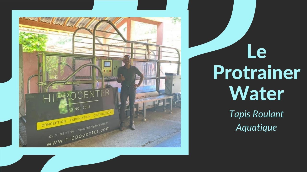 cheap womens nike trainers uk