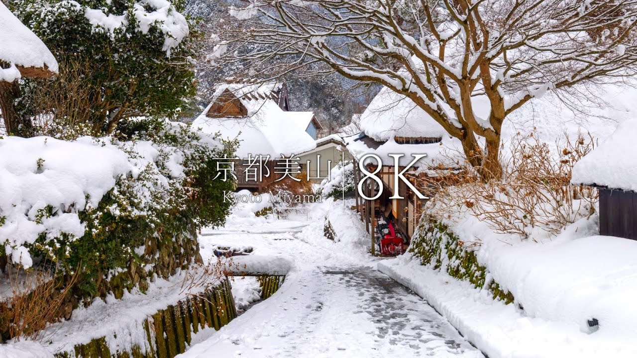 深山の雪 70726f647563742f32303139303332