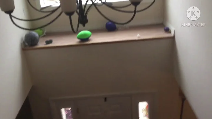 Shark puppet dies in Minecraft