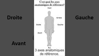 C'est quoi les axes anatomiques de référence ? #anatomie #médecine #pass #culturegenerale #science