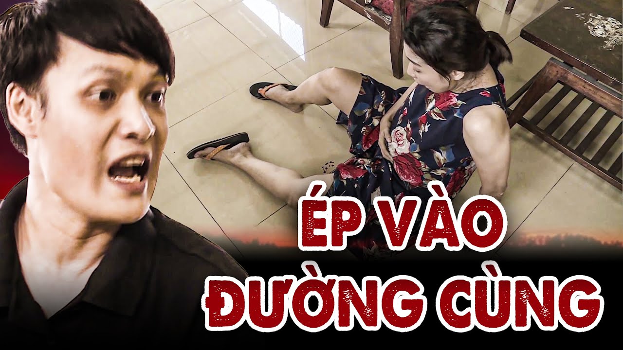 ÉP VÀO ĐƯỜNG CÙNG | KÝ SỰ PHÁP ĐÌNH 2026 | TRUY TÌM BẰNG CHỨNG | PHÍA SAU MỘT PHIÊN TÒA