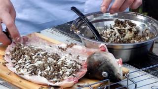 Карп на мангале, фаршированный сыром и грибами Быстрый и вкусный рецепт Карп на мангале, фаршированный сыром и грибами Быстрый и вкусный рецепт