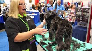 Grooming an Aussiedoodle with Tammy Siert