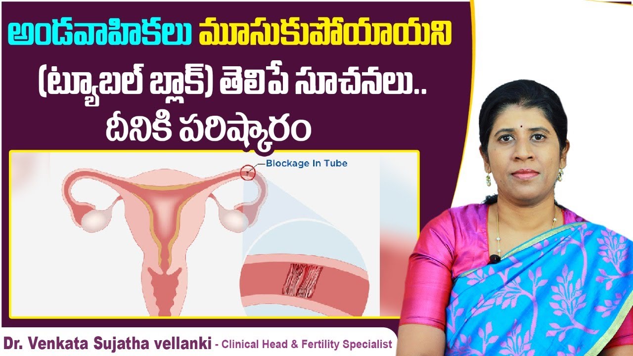 ట్యూబల్ బ్లాక్ ఉందని తెలిపే సూచనలు || Blocked Fallopian Tubes Symptoms in Telugu || Oasis Fertility
