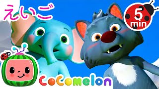 🔤えいご】きみの名前、おしえてね！ | こどものうた‐あかちゃんが喜ぶ