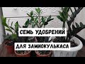 7 лучших удобрений для ЗАМИОКУЛЬКАСА, наращивание мощной корневой, крепкие новые ростки