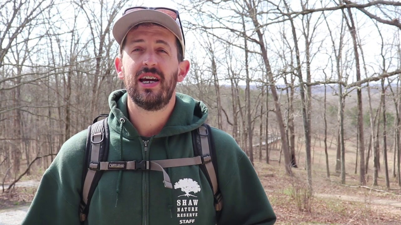 Sights and Sounds Trail Series Wildflower Trail SPRING YouTube