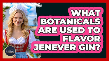What Botanicals Are Used To Flavor Jenever Gin? - Exploring The Benelux