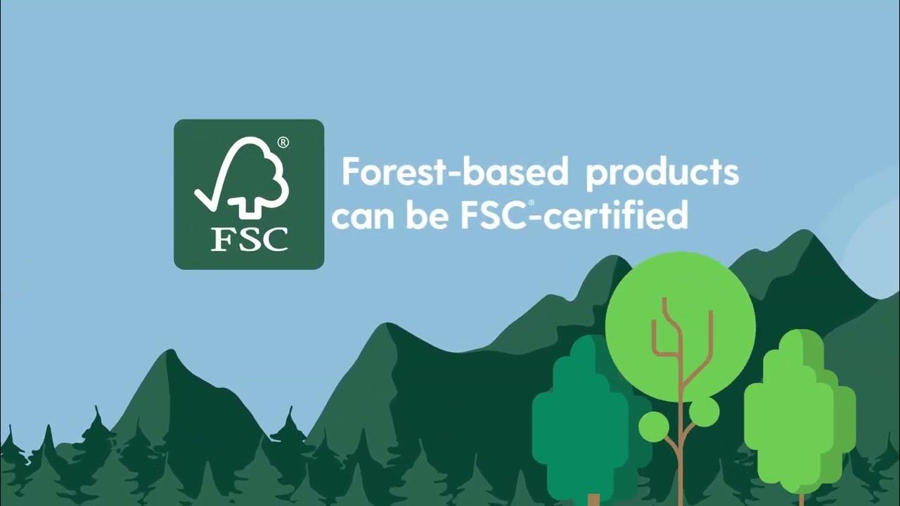 What do the FSC Labels on a Product Mean? YouTube